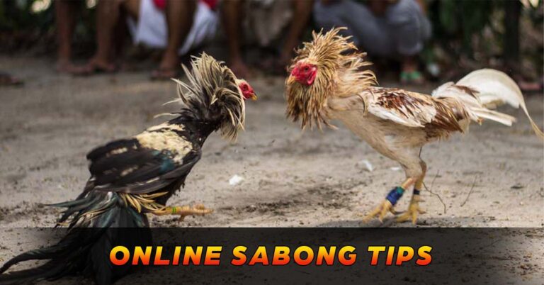 Online Sabong Tips | Mastering Online Sabong