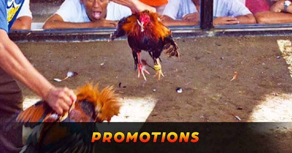 Promotions