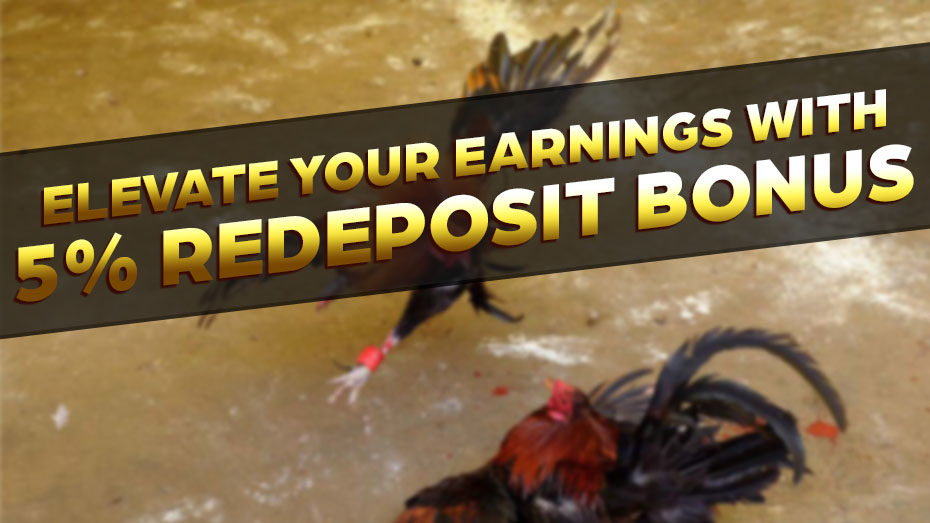 Elevate Your Earnings with 5% Redeposit Bonus