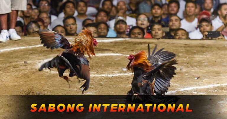 Sabong International | Unbiased Review & Insights
