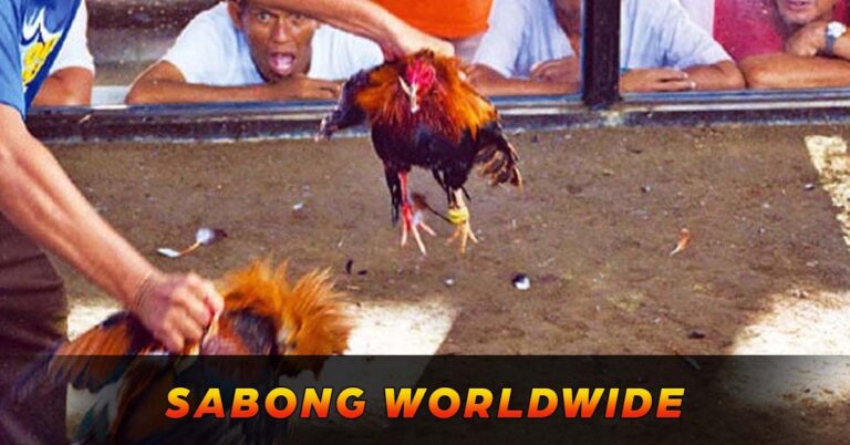 Sabong Worldwide | Online Sabong Platform Review