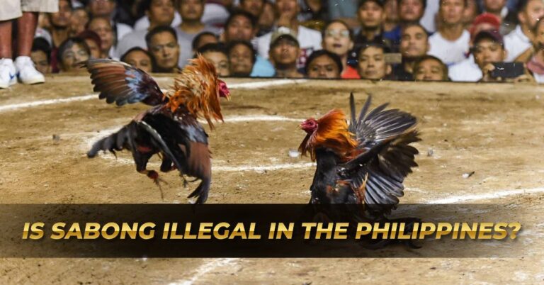 Is sabong illegal in the Philippines?